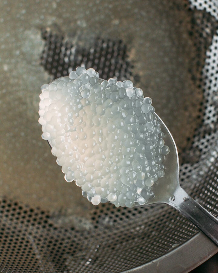 Spoonful of cooked tapioca pearls.