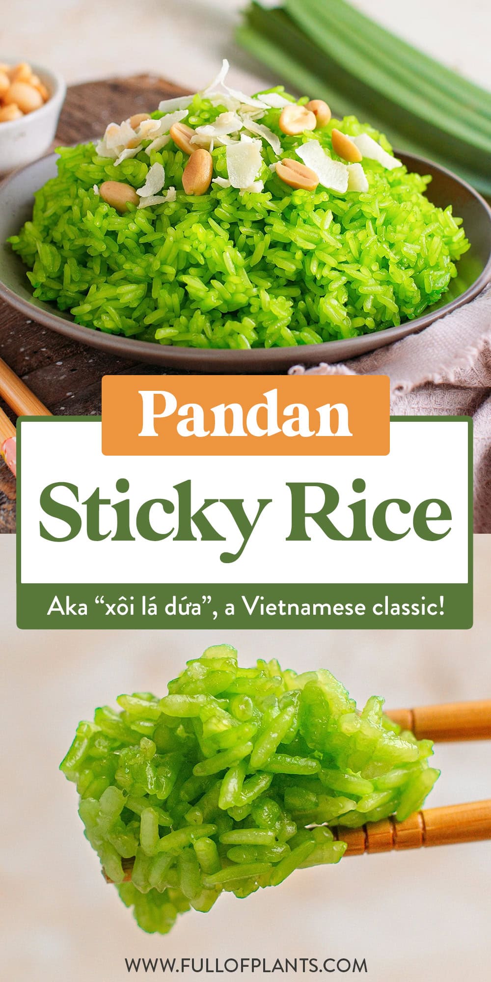 Learn how to cook pandan sticky rice at home with just 6 simple ingredients. This Vietnamese classic gets its vibrant green color and delicate floral aroma from fresh pandan leaves and coconut milk. Garnish it with grated coconut and roasted peanuts for a sweet and nutty snack!