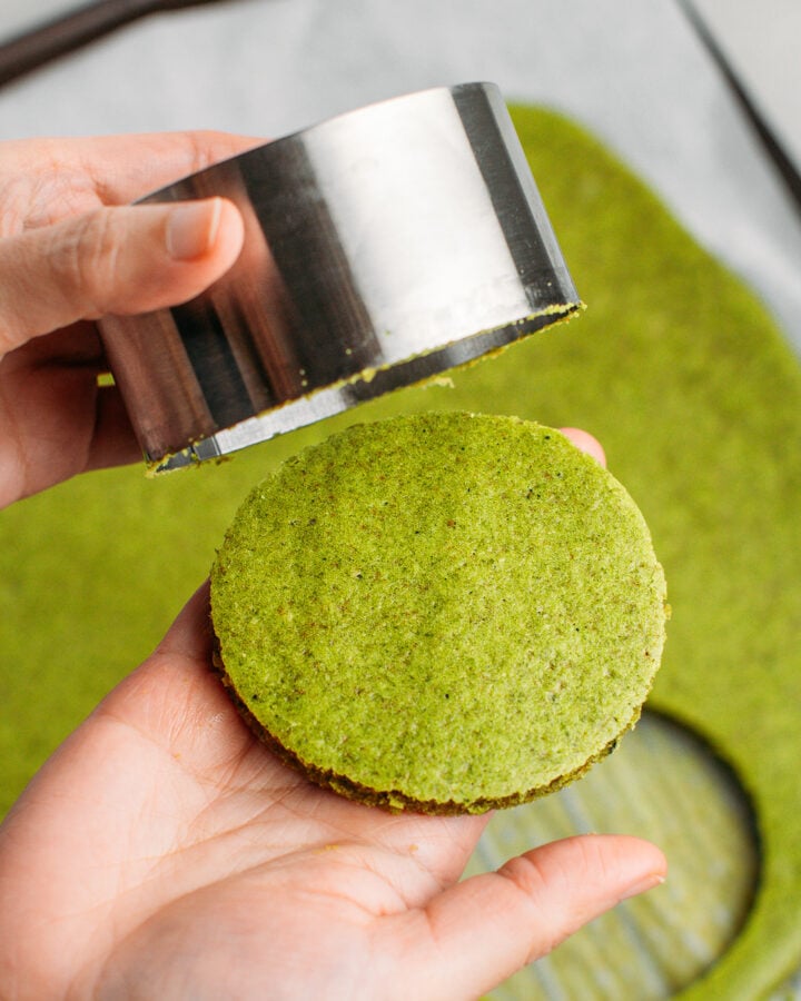 Holding a round of matcha sponge cake.