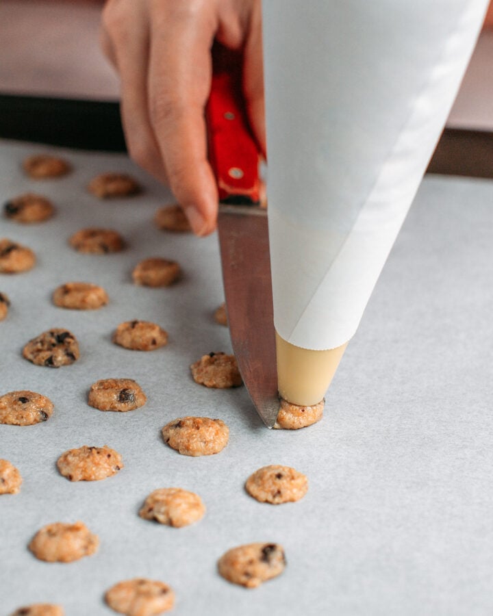 Piping chocolate chip batter into mini cookies on a baking sheet.
