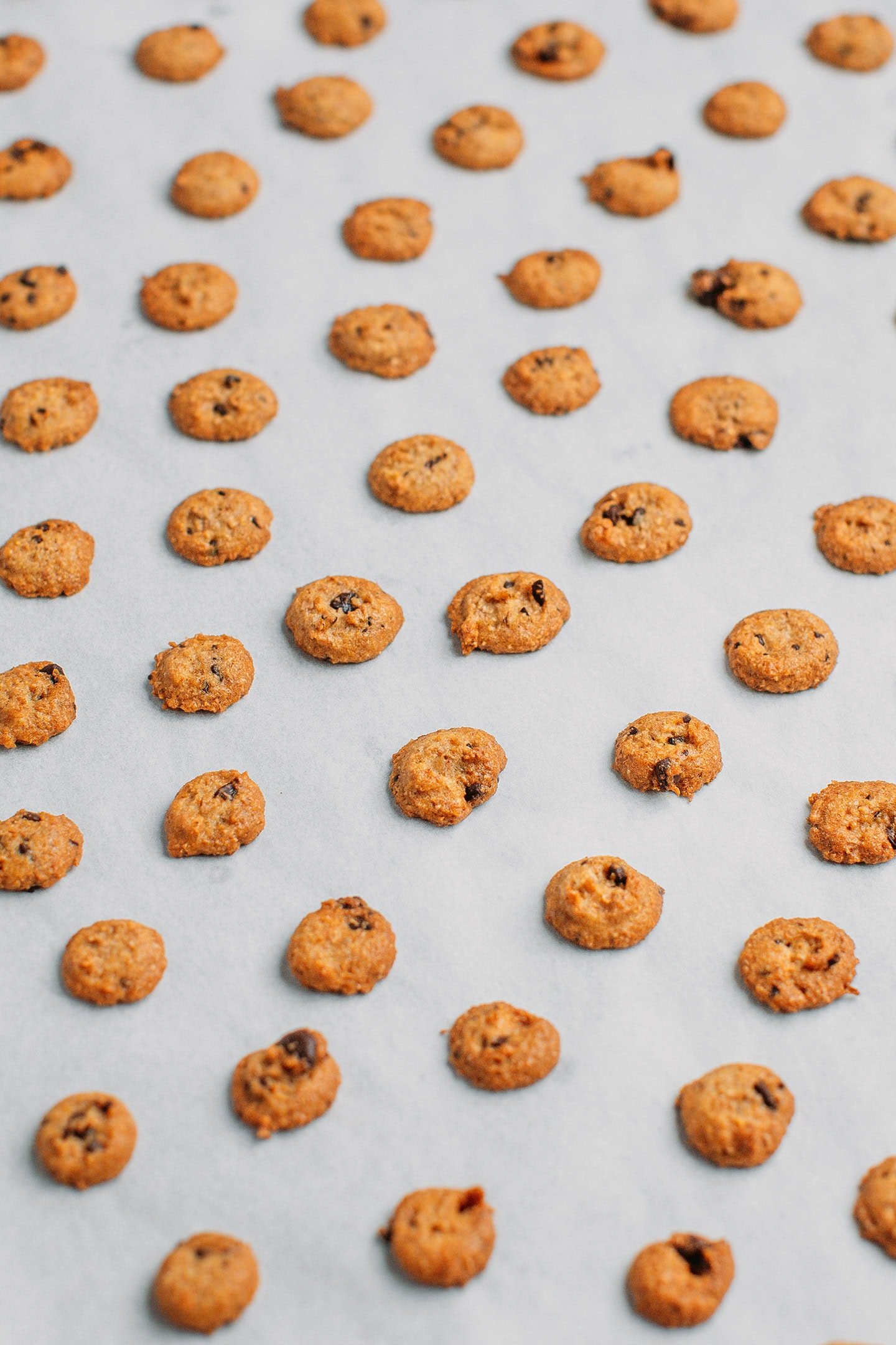 Baked chocolate chip cookie cereal on a baking sheet.
