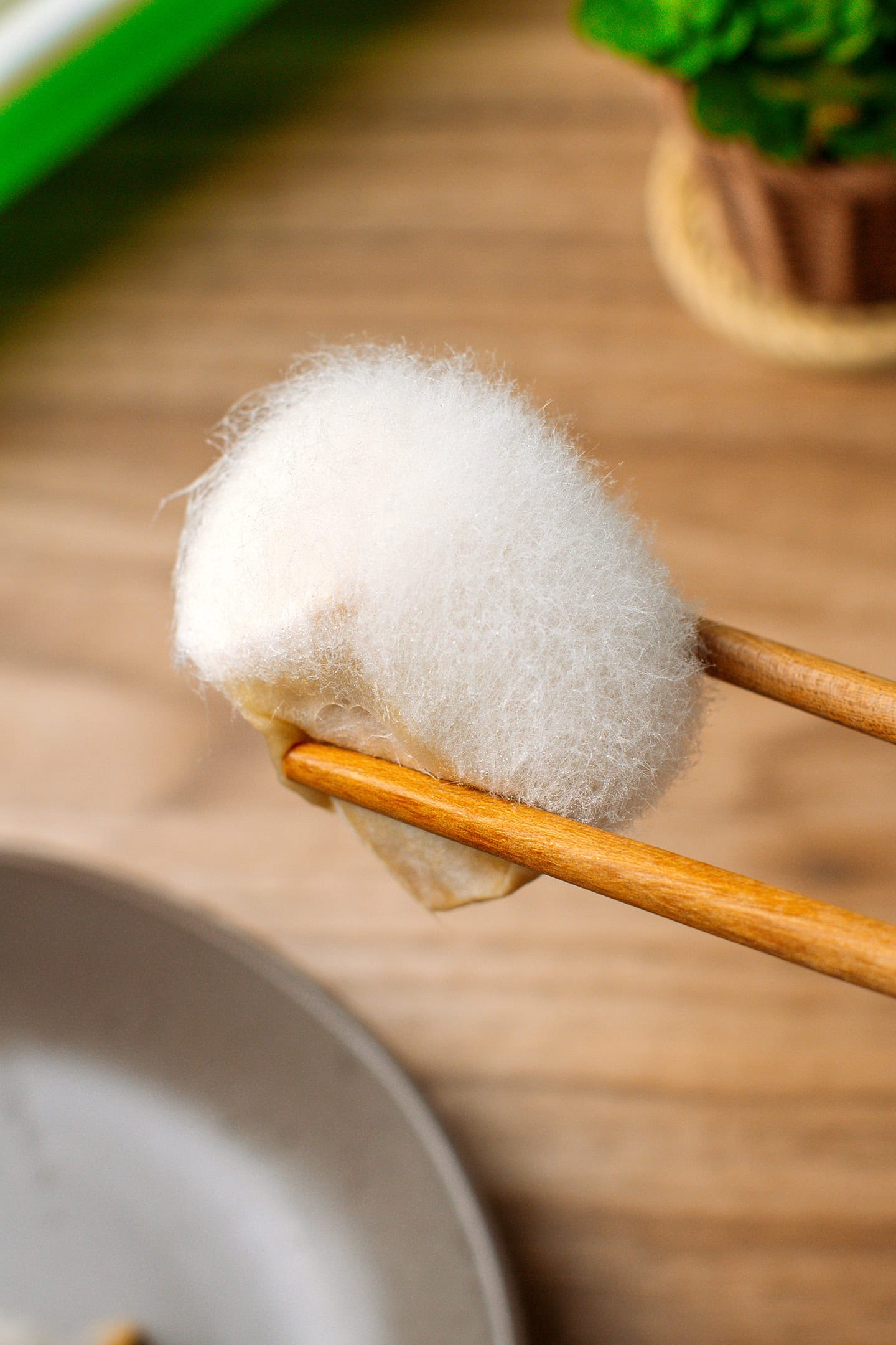 Close-up of a piece of hairy tofu.