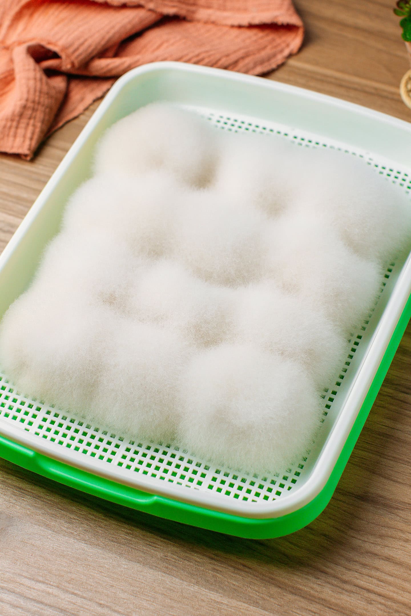 Tray with twelve pieces of hairy tofu.