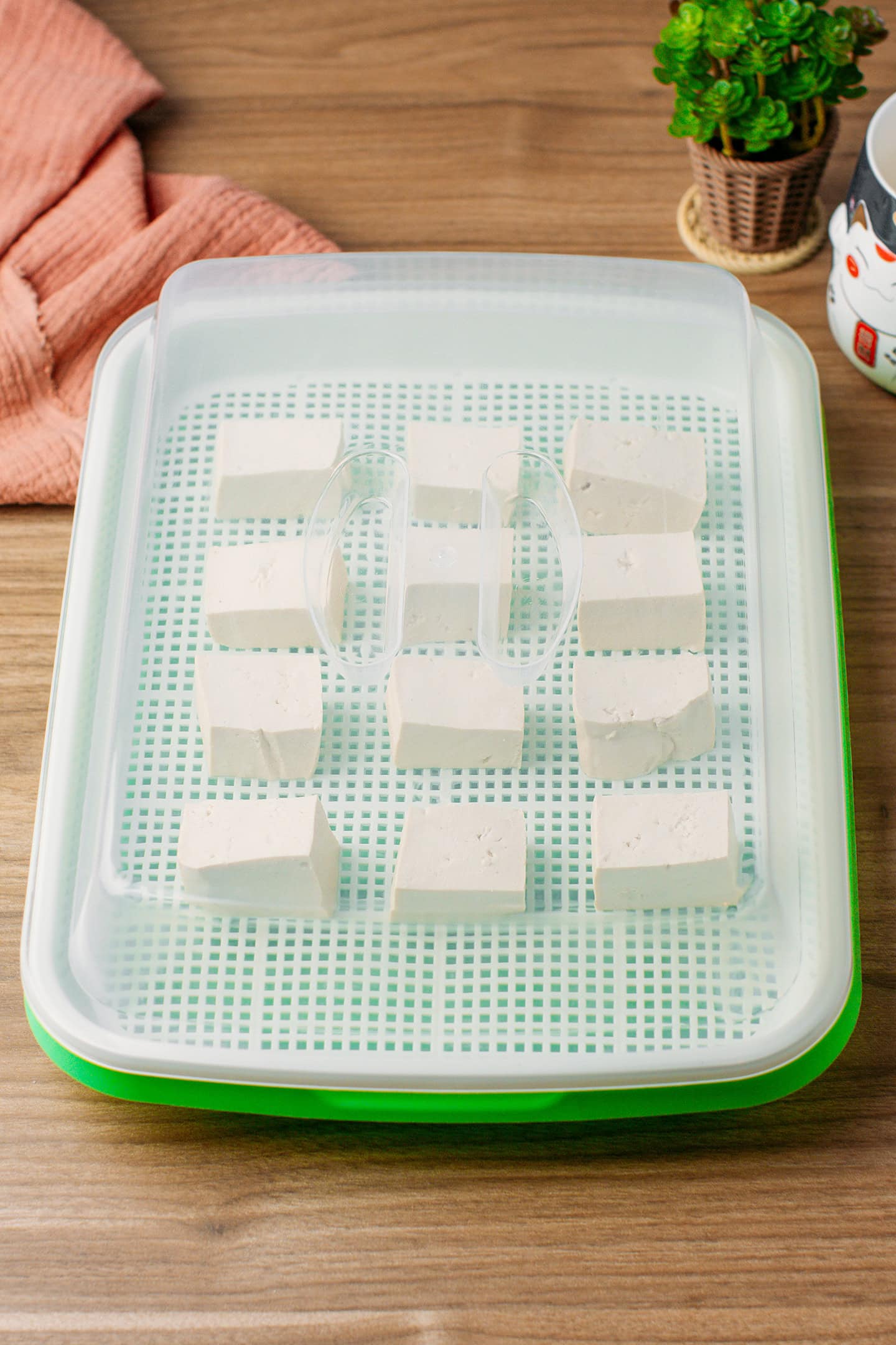 Sprouter tray with tofu cubes inside.