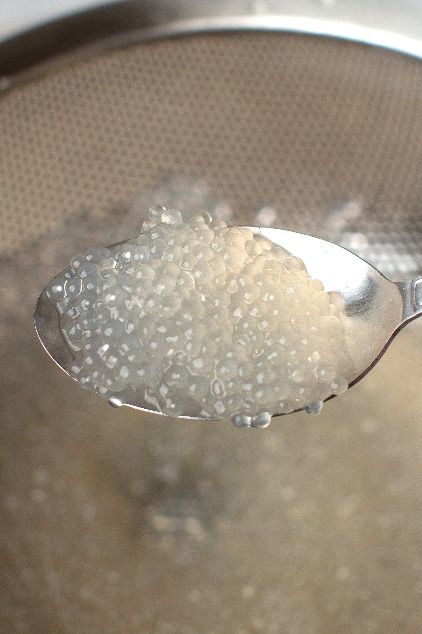 Spoonful of cooked tapioca pearls.