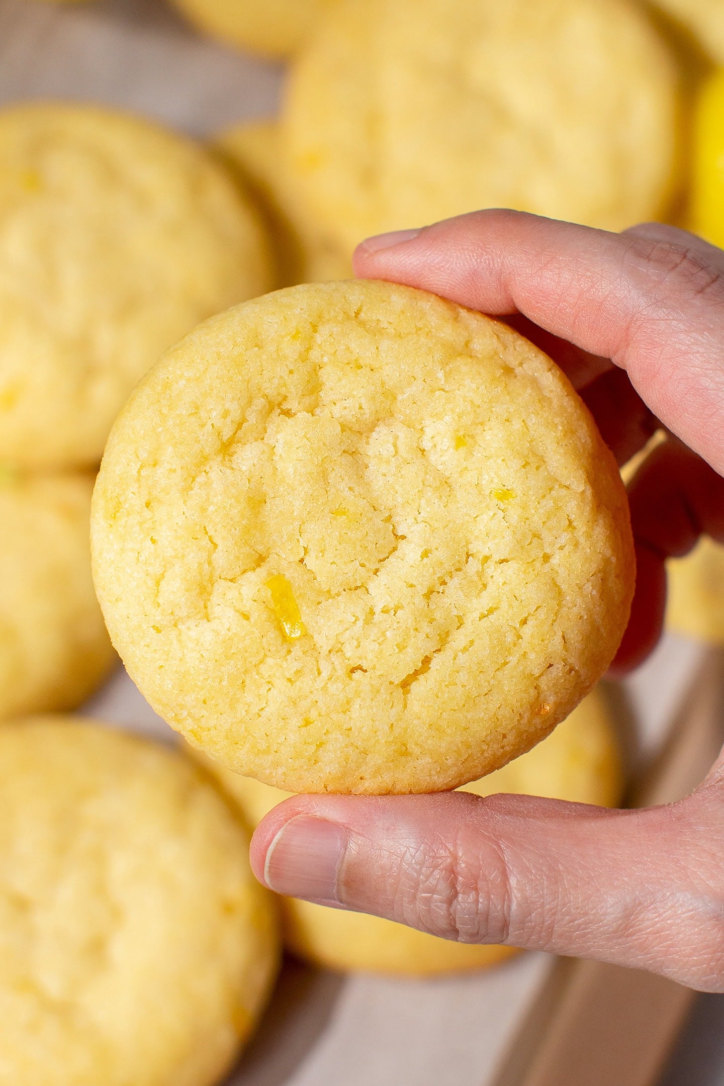 Holding a chewy lemon cookies.